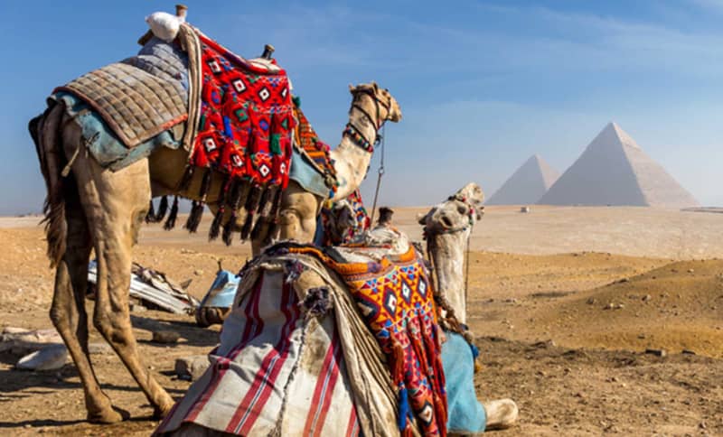 6 days travel package to cairo