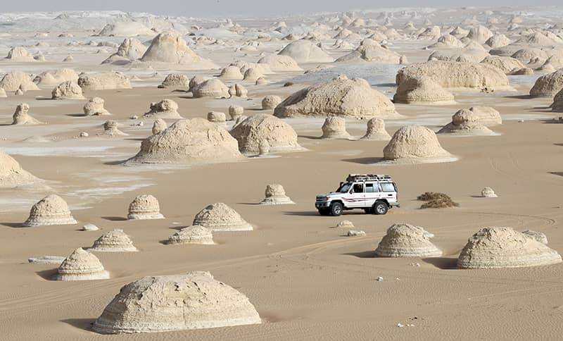 8 days egypt white desert safari tour