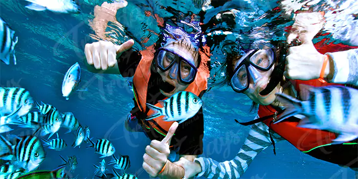 snorkeling and diving.webp